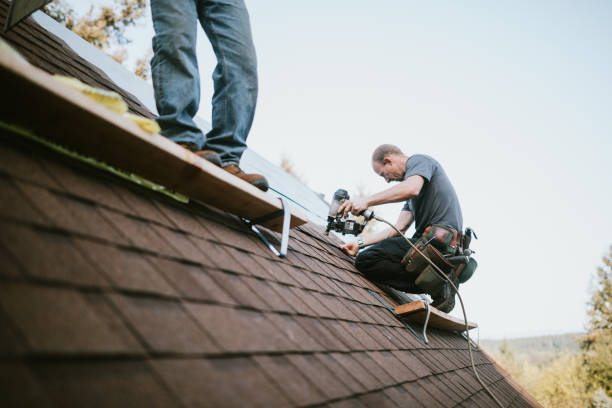 Best Gutter Installation and Roofing  in Americus, GA
